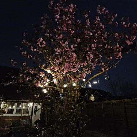 Lotus Pod House Homestay Horsell Exteriör bild