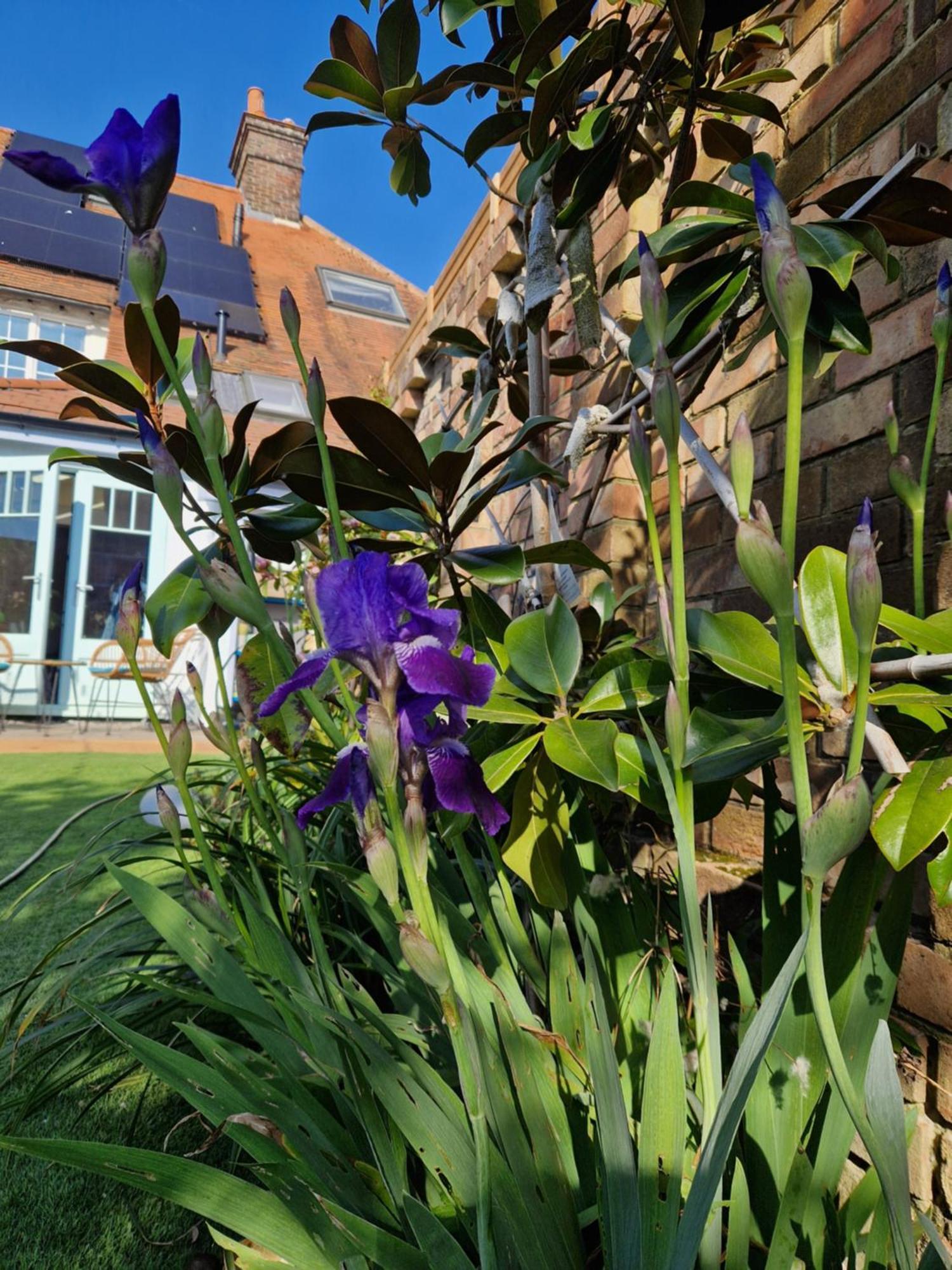 Lotus Pod House Homestay Horsell Exteriör bild